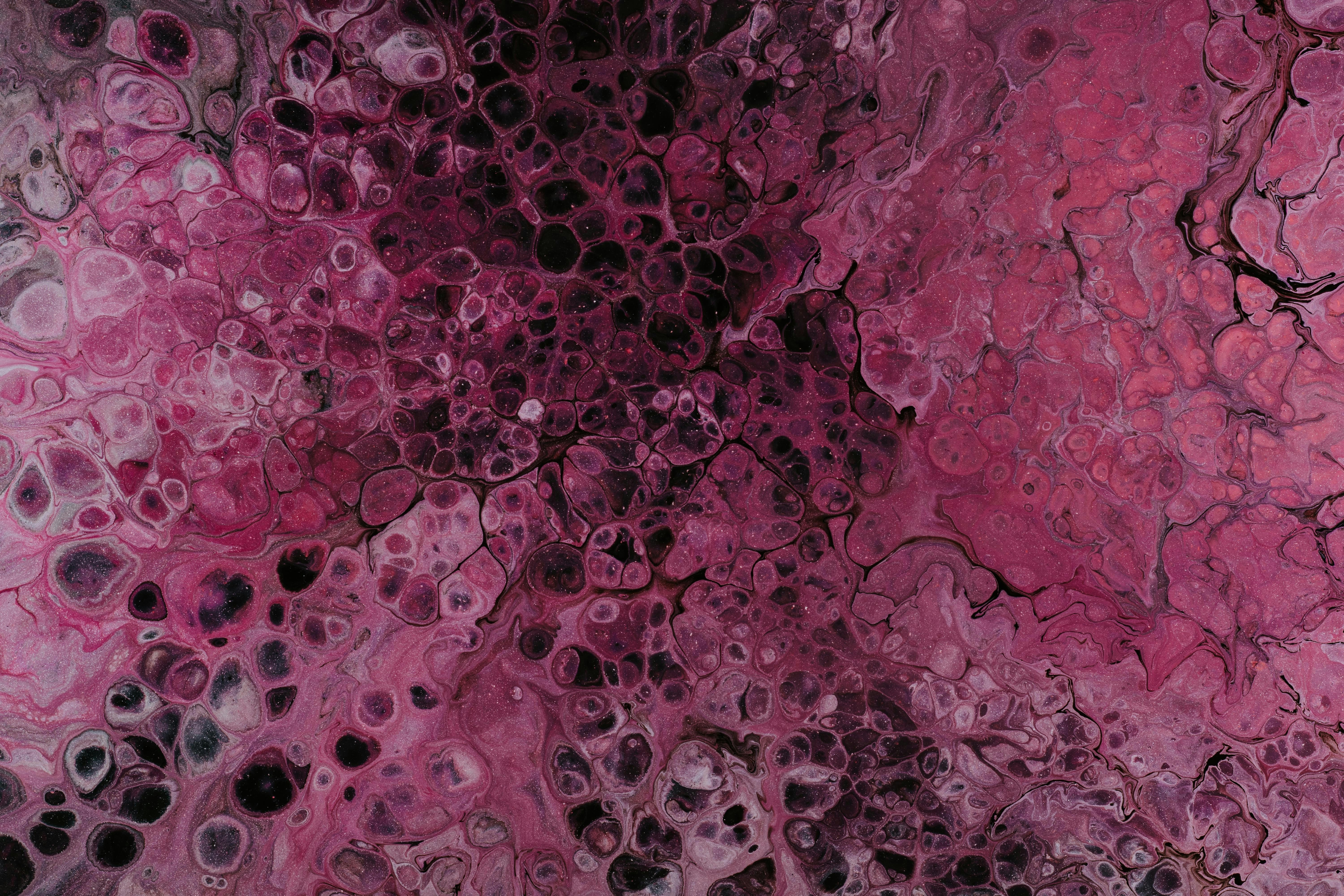 zbliżenie na komórki w tkankach